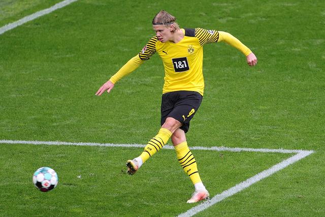 打哈利伯顿 打哈利伯顿