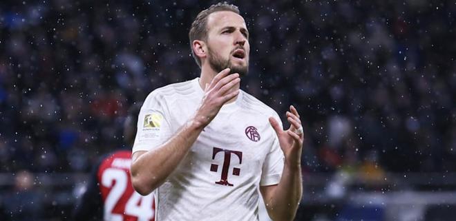 外野草皮 外野草皮